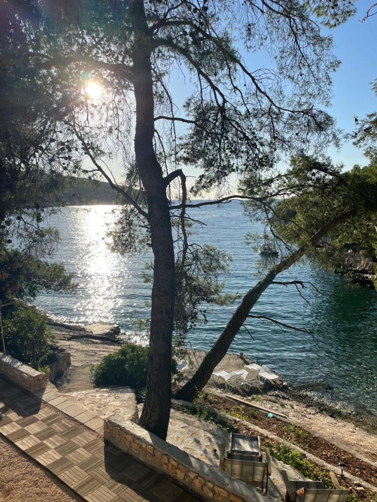Villa Terra Nostra Hvar Хвар Екстериор снимка